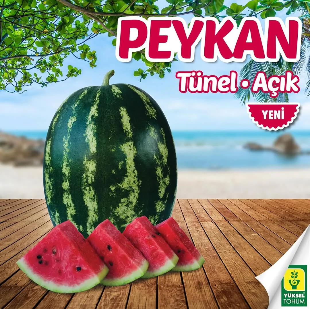 Peykan
